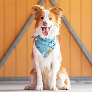 Pascal and Pooch Dog Bandanas Suitable for Medium & Large Dog Bandana Boy & Girl - Premium Adjustabl...