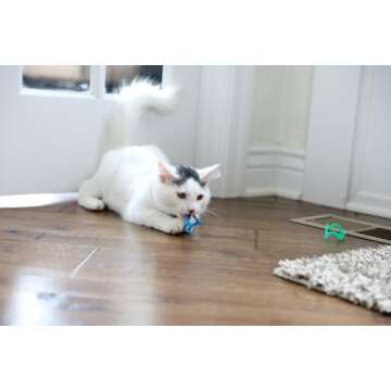 Petmate Interactive Cat Toys - Cat Crazies Multi Pack by Petmate, 4 Count (Pack of 1)