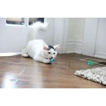 Petmate Interactive Cat Toys - Cat Crazies Multi Pack by Petmate, 4 Count (Pack of 1)