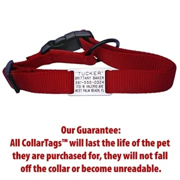 Personalized Noise-Free Boomerang Dog Tags for Pets