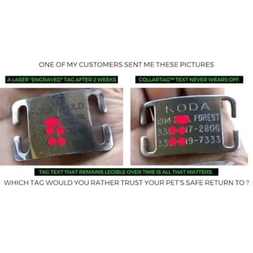 Personalized Noise-Free Boomerang Dog Tags for Pets