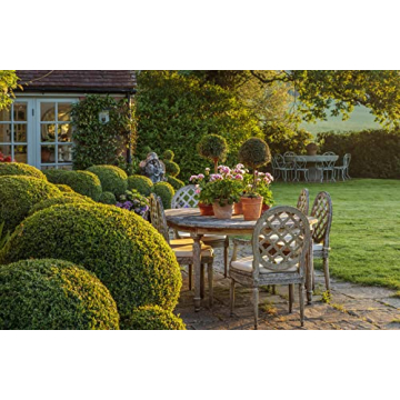 An Entertaining Life: Stunning Design & Entertaining Tips