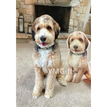 Personalized Custom Pet Photo Pillow - Unique Memory Keepsake