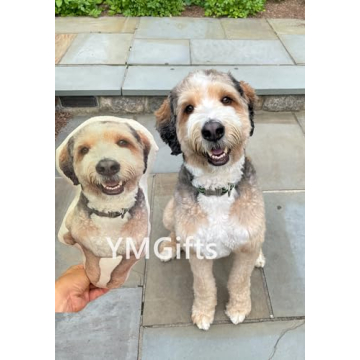 Personalized Custom Pet Photo Pillow - Unique Memory Keepsake