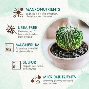 Grow Co Succulents & Cactus Plant Food - Long Lasting Nutrients