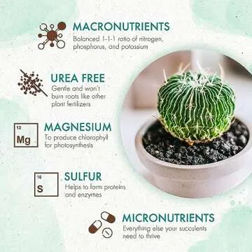 Grow Co Succulents & Cactus Plant Food - Long Lasting Nutrients