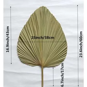 Giant Tropical Dried Palm Leaves for Home & Wedding Decor