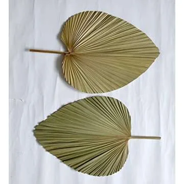 Giant Tropical Dried Palm Leaves for Home & Wedding Decor