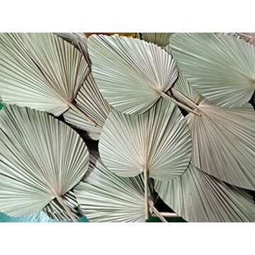 Giant Tropical Dried Palm Leaves for Home & Wedding Decor