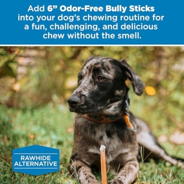 Best Bully Sticks 6 Inch Odor Free for Dogs 20 Pack