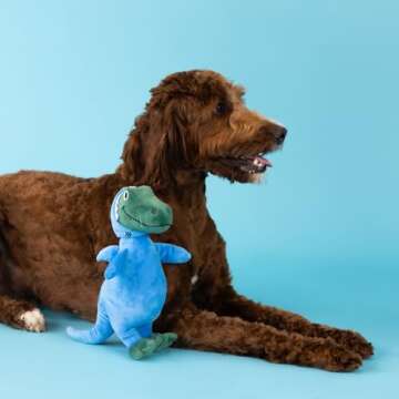 Fringe Studio Dog Plush Pet Toy with Squeaker, Feelin’ Jawsome! (289626) for All Breed Sizes, Medi...