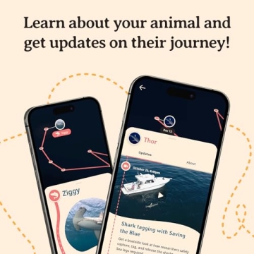 Fahlo Shark Tracking Bracelet for Ocean Conservation