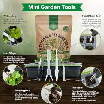 Organo Republic 15 Medicinal & Tea Herb Seeds Variety Pack 6,420+ Non-GMO Heirloom Garden Seeds for Indoor & Outdoors, Including Anise, Borage, Cilantro, Chamomile, Dandelion, Rosemary Seeds