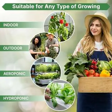 Organo Republic 15 Medicinal & Tea Herb Seeds Variety Pack 6,420+ Non-GMO Heirloom Garden Seeds for Indoor & Outdoors, Including Anise, Borage, Cilantro, Chamomile, Dandelion, Rosemary Seeds