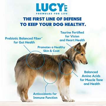 Lucy Pet Products Lucy Pet Formulas for Life - Limited Ingredient Diet Dry Dog Food, All Breeds & Life Stages - Chicken, Brown Rice & Pumpkin