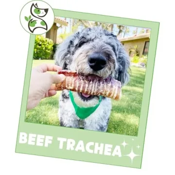 Nature Gnaws Beef Trachea Chews for Dogs Natural & Crunchy