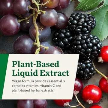 Floradix Floravital Liquid Iron & Vitamins Formula - Liquid Iron Supplement with B Complex Vitamins & Herbs for Energy Support - Vegan, Gluten-Free, Yeast- Free, Non-GMO - 8.5 oz