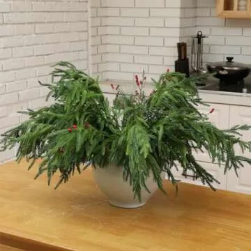 Jutom 12 Pcs Christmas Norfolk Pine Branches, Artificial Norfolk Branch Faux Stem Greenery Pine Picks for Vase DIY Crafts Xmas Garland Wreath Home Decor (30 Inches)