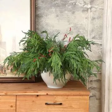 Jutom 12 Pcs Christmas Norfolk Pine Branches, Artificial Norfolk Branch Faux Stem Greenery Pine Picks for Vase DIY Crafts Xmas Garland Wreath Home Decor (30 Inches)