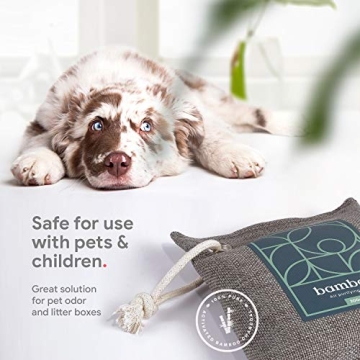 Bamboo Charcoal Odor Absorber 4-Pack for Fresh Air