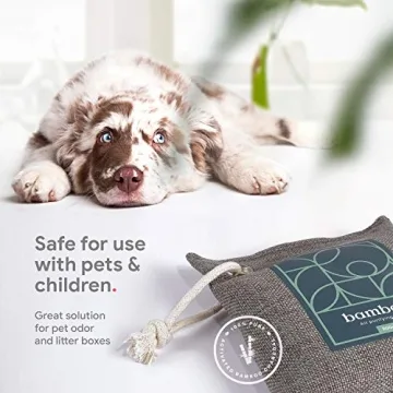 Bamboo Charcoal Odor Absorber 4-Pack for Fresh Air