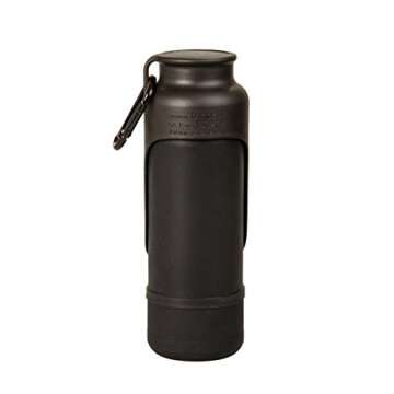 KONG H2O Stainless Steel Water Bottle 700ml for Dogs