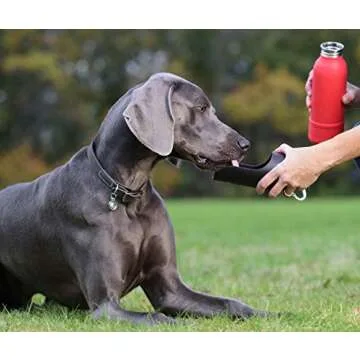 KONG H2O Stainless Steel Water Bottle 700ml for Dogs