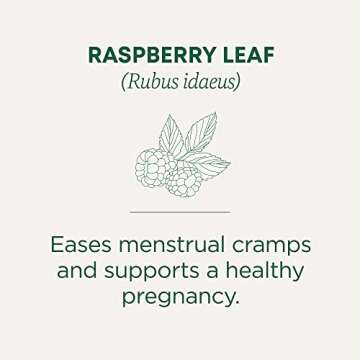 Traditional Medicinals Tea, Organic Raspberry Leaf, Eases Menstrual Cramps, Supports a Healthy Pregnancy, 48 Tea Bags (3 Pack)