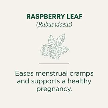 Traditional Medicinals Tea, Organic Raspberry Leaf, Eases Menstrual Cramps, Supports a Healthy Pregnancy, 48 Tea Bags (3 Pack)