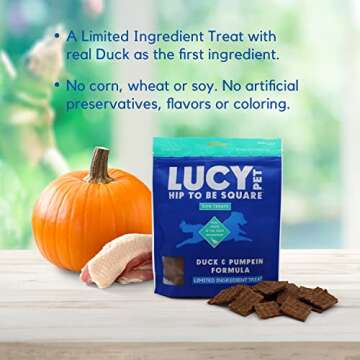 Lucy Pet Hip To Be Square Duck And Pumpkin Dog Treats 6Oz