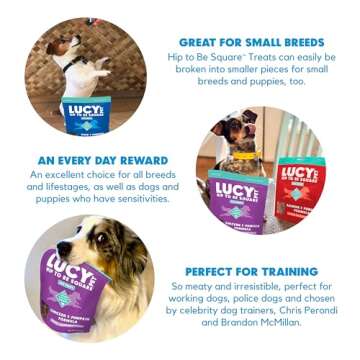 Lucy Pet Hip To Be Square Duck And Pumpkin Dog Treats 6Oz