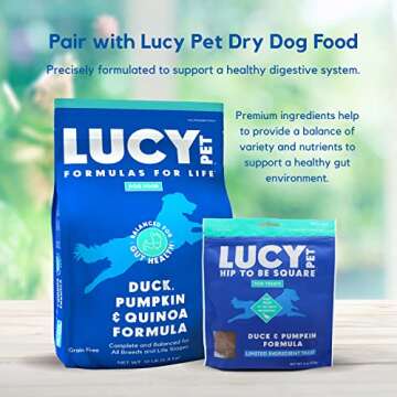 Lucy Pet Hip To Be Square Duck And Pumpkin Dog Treats 6Oz