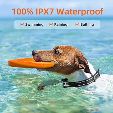 ROJECO Dog Shock Collar with 3300FT Remote Waterproof