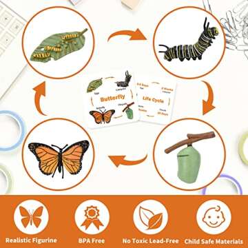 Montessori Life Cycle Animal Figurines Learning & Education Toys, Plastic Insect Snail Ladybug Bee Dragonfly Monarch Butterfly Tadpole to Frog Kit Toy, Preschool Learning Activities Science Toys