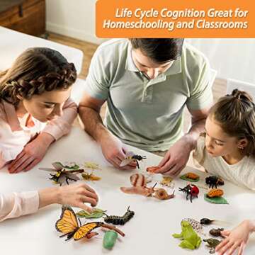 Montessori Life Cycle Animal Figurines Learning & Education Toys, Plastic Insect Snail Ladybug Bee Dragonfly Monarch Butterfly Tadpole to Frog Kit Toy, Preschool Learning Activities Science Toys