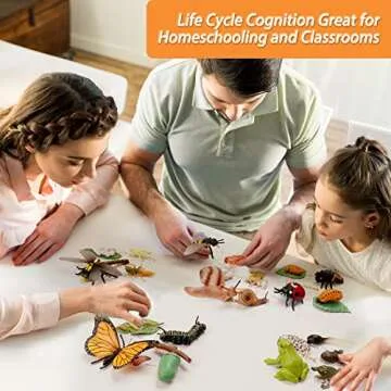 Montessori Life Cycle Animal Figurines Learning & Education Toys, Plastic Insect Snail Ladybug Bee Dragonfly Monarch Butterfly Tadpole to Frog Kit Toy, Preschool Learning Activities Science Toys