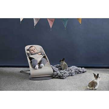 BabyBjörn Bouncer Bliss for Ultimate Comfort and Style