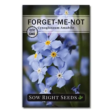 Sow Right Seeds Forget-Me-Not Flower Seeds - Non-GMO Heirloom Memories