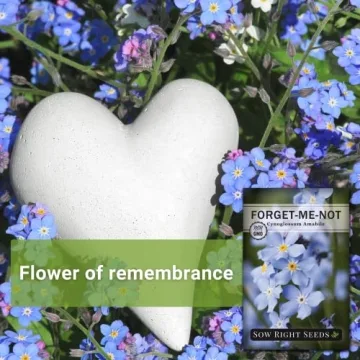 Sow Right Seeds Forget-Me-Not Flower Seeds for Remembrance