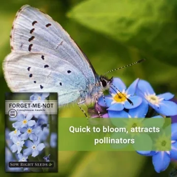 Sow Right Seeds Forget-Me-Not Flower Seeds for Remembrance
