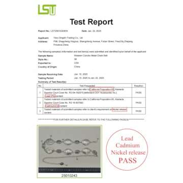 TOPACC Western Metal Concho Belt for Women Cowgirl Chain Belts for Dresses Jeans Country Concert Outfit