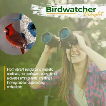 Old Potters Non-GMO Safflower Seed - Attract Birds