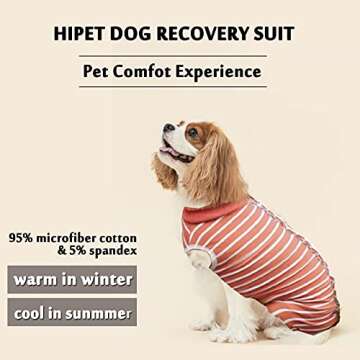 Hipet Dog Onesie for Surgical Recovery Comfort & Protection