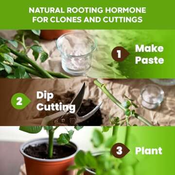 Big Foot Probiotic Root Boost Powder for Thriving Plants