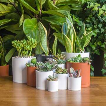 D'vine Dev 10 Pack Plastic Plant Pots for Plants, 6.5/6/5.5/5/4.5/4/3.5/3/2.5/2 Inch Indoor Planters...