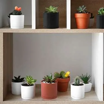 D'vine Dev 10 Pack Plastic Plant Pots for Plants, 6.5/6/5.5/5/4.5/4/3.5/3/2.5/2 Inch Indoor Planters Cylindrical Succulent Pot with Drainage Hole and Saucer, White, 74-S-A