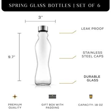 JoyJolt Spring Glass Water Bottles Set of 6-18 oz Glass Bottles with Stainless Steel Caps - Glass Drinking Bottles with Leakproof Lids - Reusable Glass Juice Bottle - Container Bottle Set