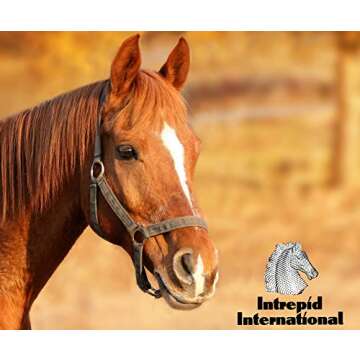 Click Horse Hock Shield, Horse Care Boots, Hock Shield for Horses, Fleece Lining, Prevents Hock Sores & Bed Sores, Tear Resistant Hock Protectors for Horses, Black w/Green Trim XL Horse Size 16"-20"