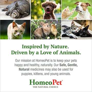 HomeoPet Feline Nose Relief, Natural Cat Nasal Medicine