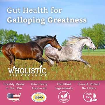 Wholistic Horse Probiotics Powder for Optimal Gut Health